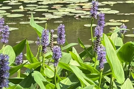 ��������������Ů������������+Ԣ��+�����ȫ