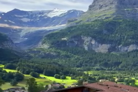 Ů���������������