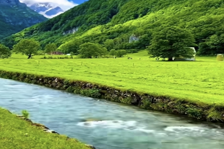 ��Ы��o��Ѫ�б���ȡ��