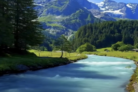 ������������ȡ����