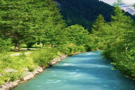 �����������ȡ��