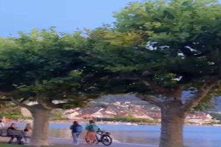 ��������С������