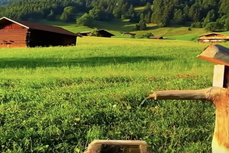 根据生辰八字取名