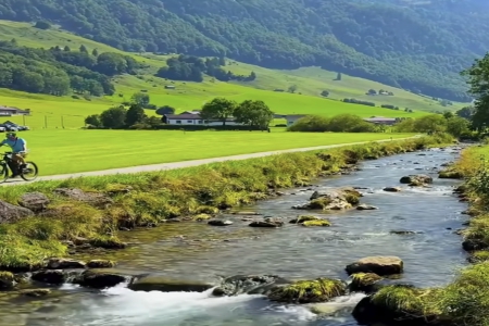 Ӥ��ȡ����������