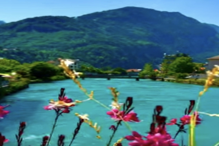 2026��2��2�ճ������к�Ů���������Ƽ�