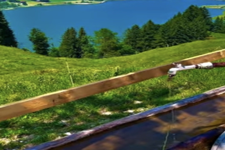 2026��2�³������������Ƽ�