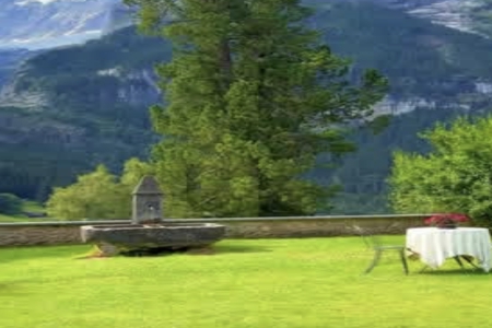 2026��2��8�ճ������к�Ů���������Ƽ�