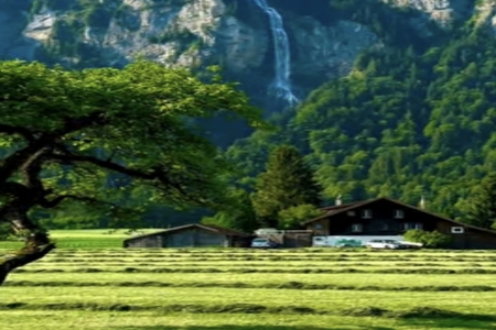 2026��2��13�ճ������к�Ů���������Ƽ�