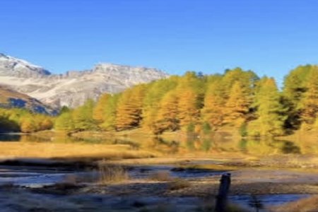 ��ʫ������