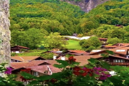 2026��2��20�ճ������к�Ů���������Ƽ�