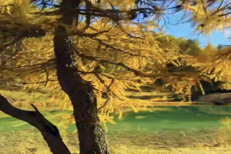 马年宝宝起名大忌