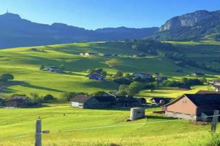 2026��2��21�ճ������к�Ů���������Ƽ�