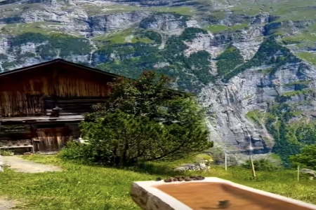 2026��2��22�ճ������к�Ů���������Ƽ�