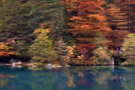 2026��2��25�ճ������к�Ů���������Ƽ�