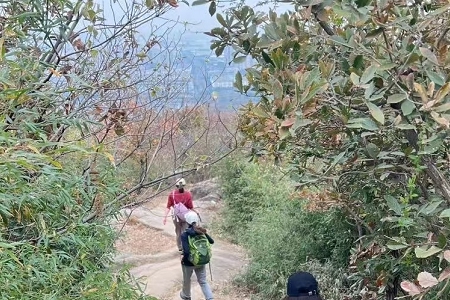 2026年木字旁起名用字推荐