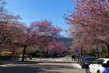 2026年2月28日出生的男孩女孩起名字推荐