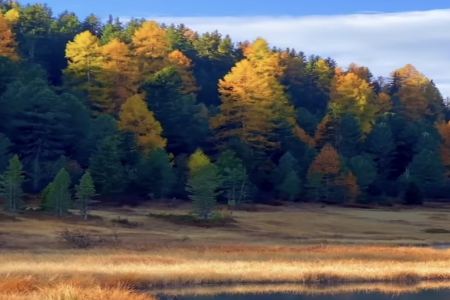 2026年3月4日出生的男孩女孩起名字推荐