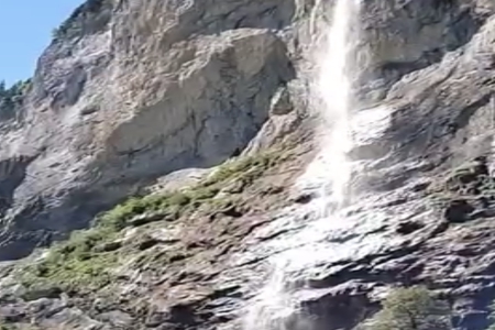 免费取名字大全免费查询2026