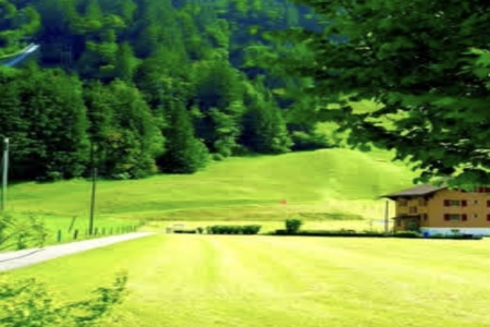 别再给娃起梓轩涵了