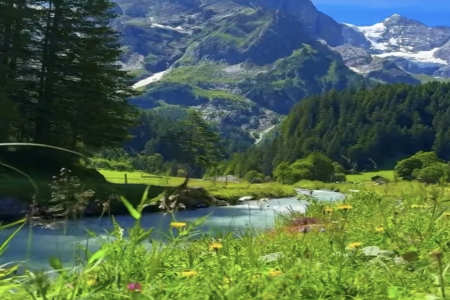 2026��3��15�ճ������к�Ů���������Ƽ�