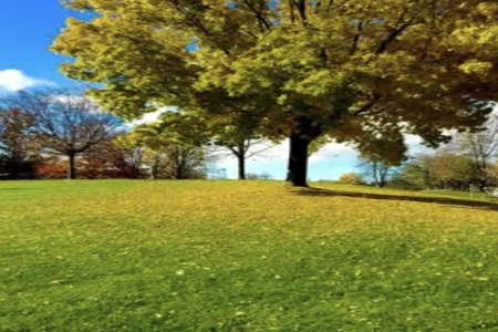 2026���걦�������������˼�