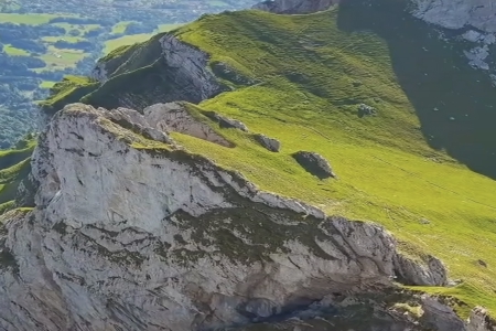 鸡年生的小孩子怎样起名字